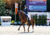 Buenos resultados y confianza para la doma paralímpica española en el CPEDI3 de Ornago