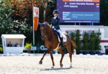 Buenos resultados y confianza para la doma paralímpica española en el CPEDI3 de Ornago
