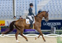 Carla Onrubia eleva el listón de la doma paralímpica española en el Mundial de Aachen